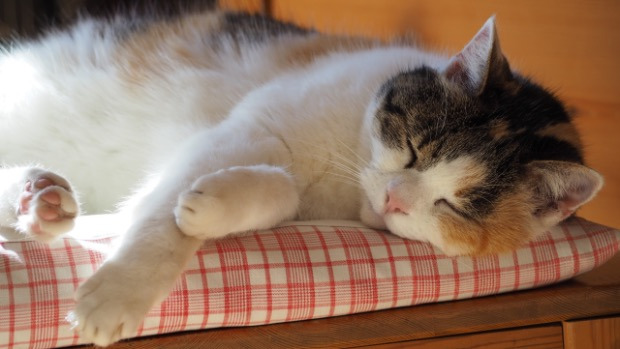 Mental Detox: weniger denken – bewusster leben!